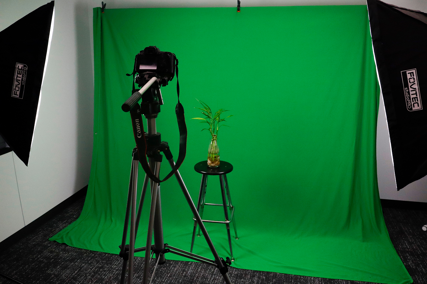 A camera on a tripod photographing a plant in front of a green screen