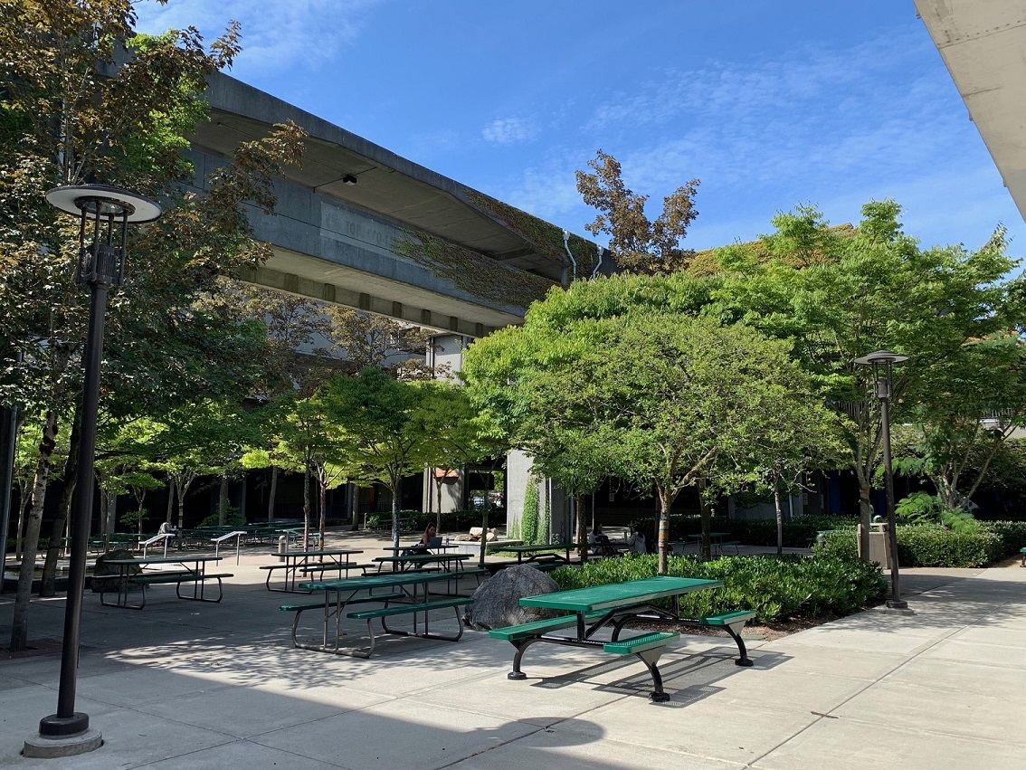 North Seattle College Courtyard with trees and bench