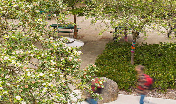 North Seattle College