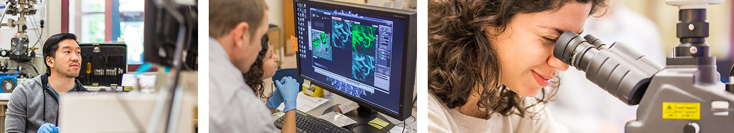nanotech