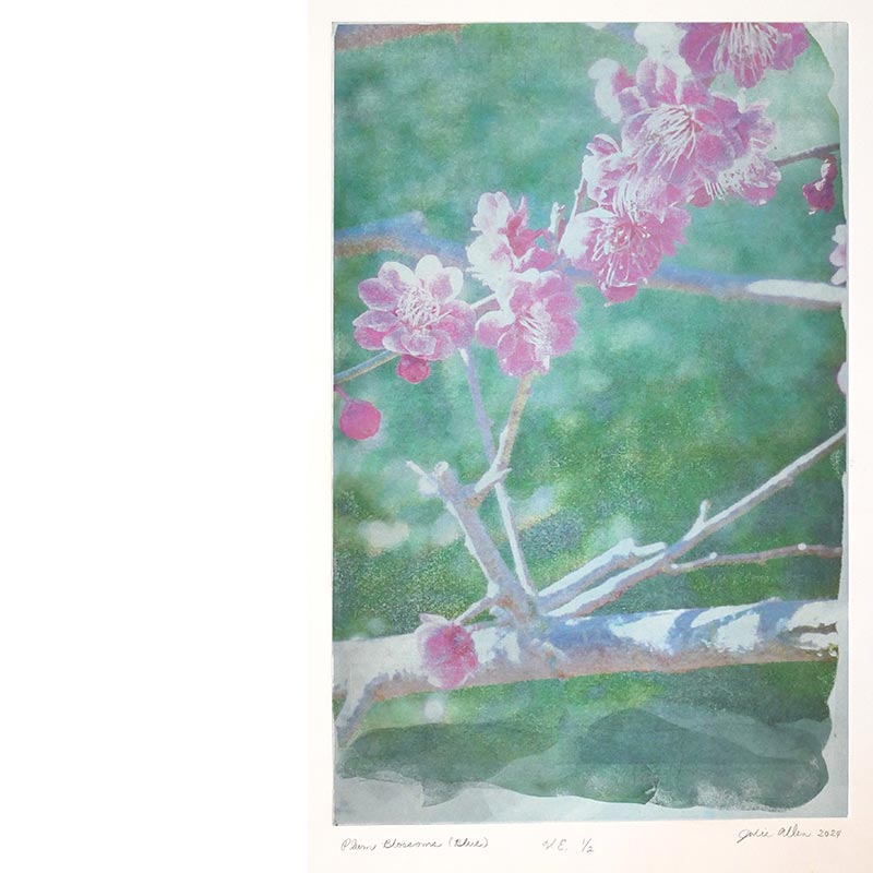 Julie	Allen	Plum Blossoms (Blue)	Monotype and transfer print	22 1/4" x 15"	2024